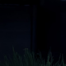 Workforce for the Future