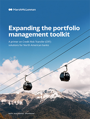 The report cover for "Expanding the portfolio management toolkit" featuring ski gondolas with snow capped mountains in the background.
