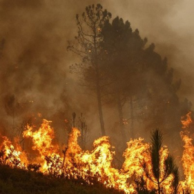 Parametric Solutions for Wildfire and Hurricane Risk