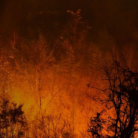 Wildfires: Preparation, Response, and Recovery