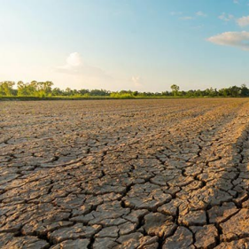 Climate takes a toll on worker health